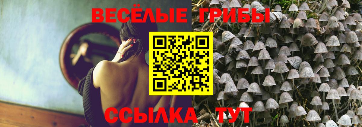 Псилоцибиновые грибы мухоморы  закладки  Сегежа  Вход с VPN 
