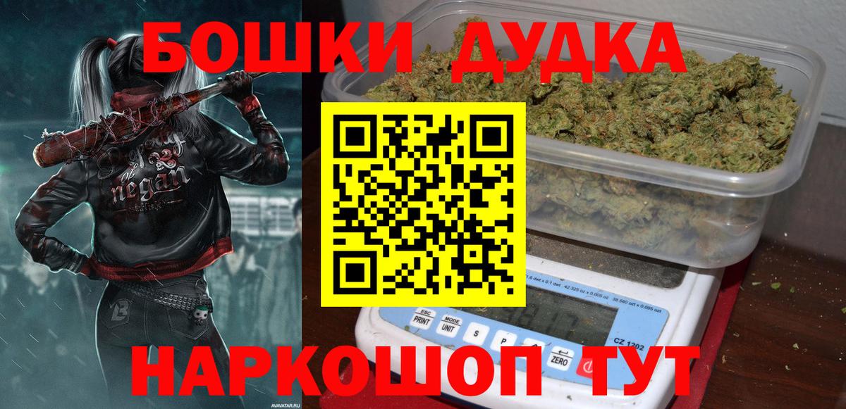 Бошки Шишки план Сегежа